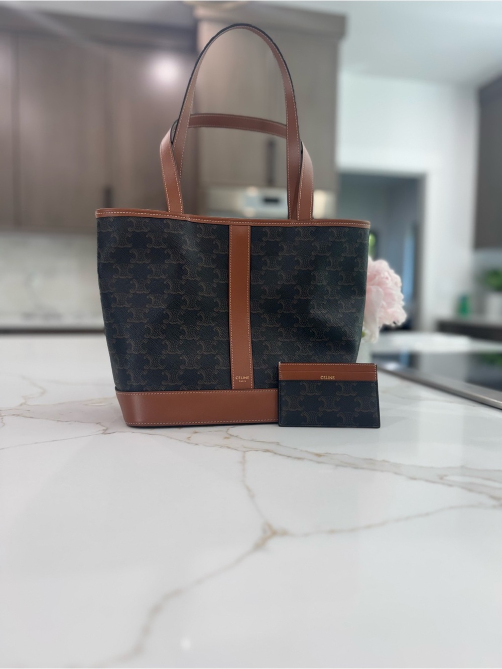 Celine Triomphe Canvas Tote in Brown and Tan